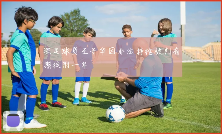 深足球员王子华因非法持枪被判有期徒刑一年